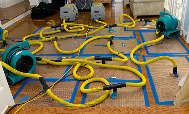 Professional Sewage Cleanup technician working in Wayne, MI